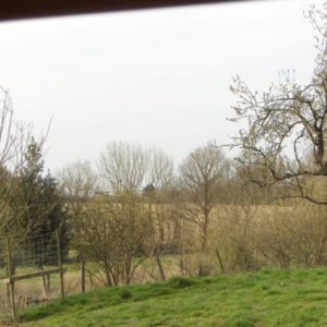 A view from the cottage across green lawns showing bare winter trees, hedges, and the surrounding countryside.