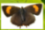SSSI