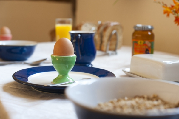 A boiled egg in a green egg cup on a white and blue plate, surrounded by a breakfast spread on a table.
