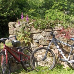 Two mountain bikes resting against a low stone wall covered in plants and purple foxglove flowers.