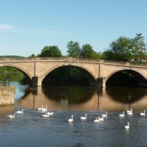 A stone arch bridge crossing a wide river, with a flock of white swans swimming in the water below.