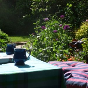 Two blue mugs resting on a table with a checked tablecloth and striped cushions, set in a sunny garden with blooming tall purple alliums.