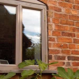 A grey-framed window set into a rustic red brick wall, with large green fig tree leaves in the foreground.