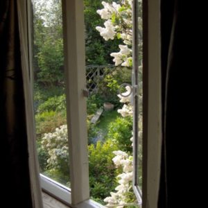A picturesque view from an open window bordered by climbing white flowers overlooking a verdant green garden.