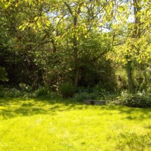 A brightly lit green lawn in the garden sheltered by mature trees, featuring a small stone bench in the shade.