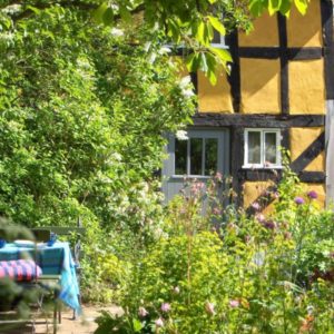 A vibrant garden patio with a cheerfully set table amidst blooming plants right next to the historic yellow timber cottage.