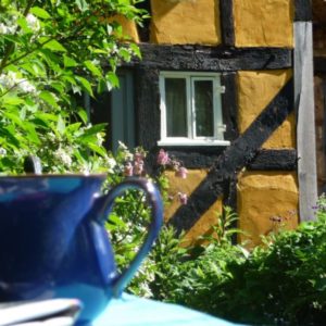 A close-up view of a deep blue mug on a table outdoors bathed in sunlight, backed by intricate timber framing on the yellow cottage.