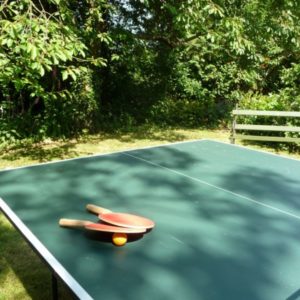 Two table tennis paddles resting on an orange ball atop a green outdoor ping pong table in a sunlit leafy garden.