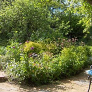 A curving brick pathway and steps leading through a lush, verdant garden featuring diverse blooming plants and a small bench.