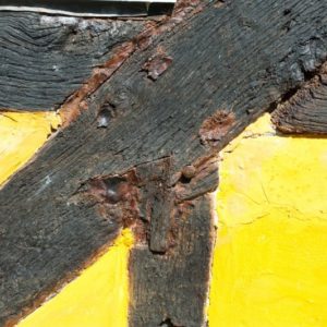 A detailed close-up of an aged, exposed oak timber frame joint fastened with pegs in front of bright yellow plaster infill.