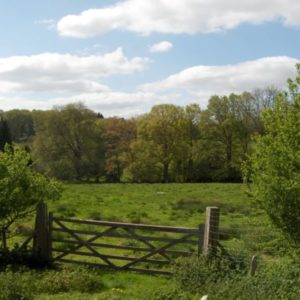 A scenic view from the garden looking across a lush meadow through a wooden five-bar gate towards a line of mature trees.